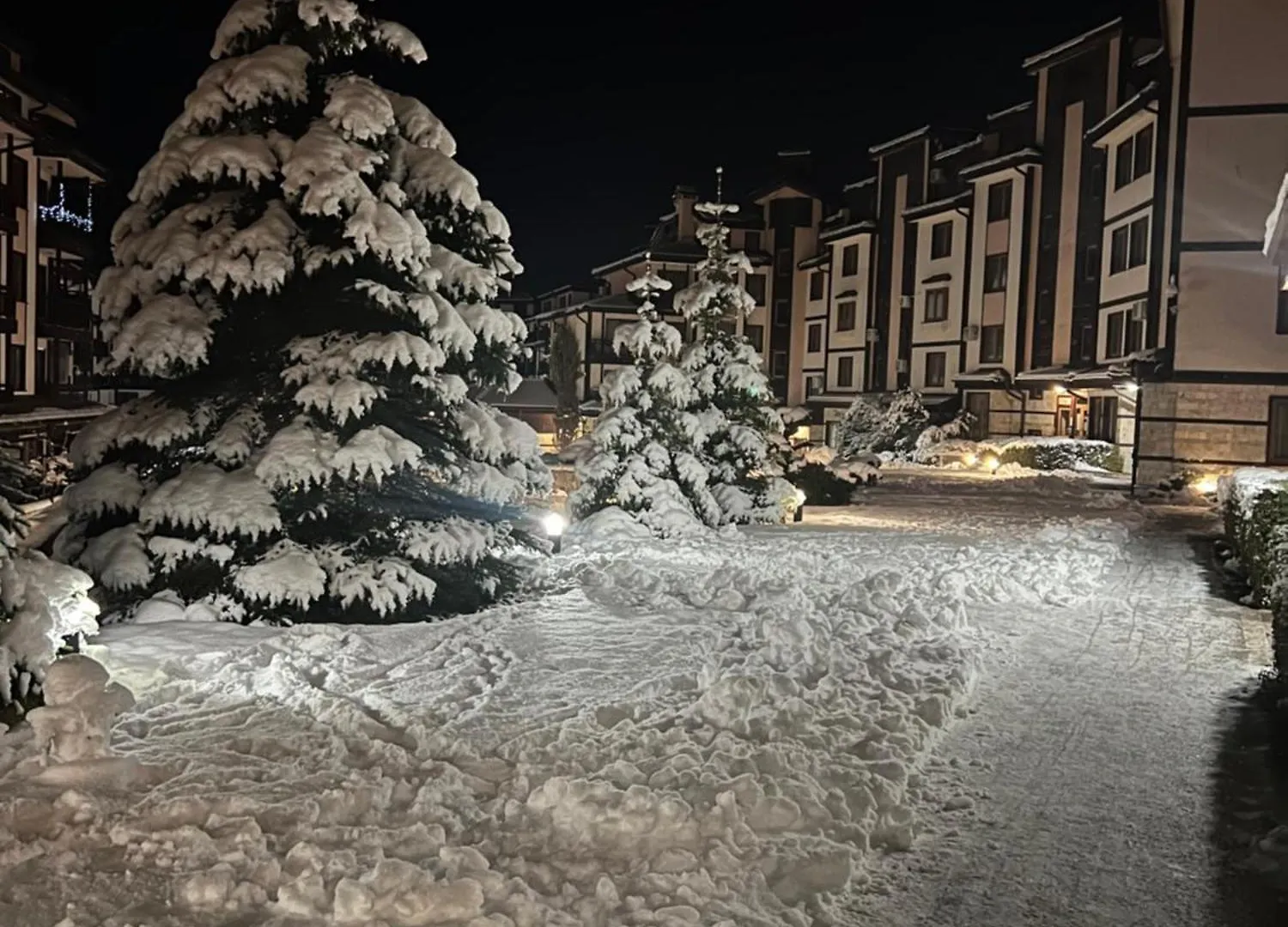 Bardarova Apartments Downtown بانسكو